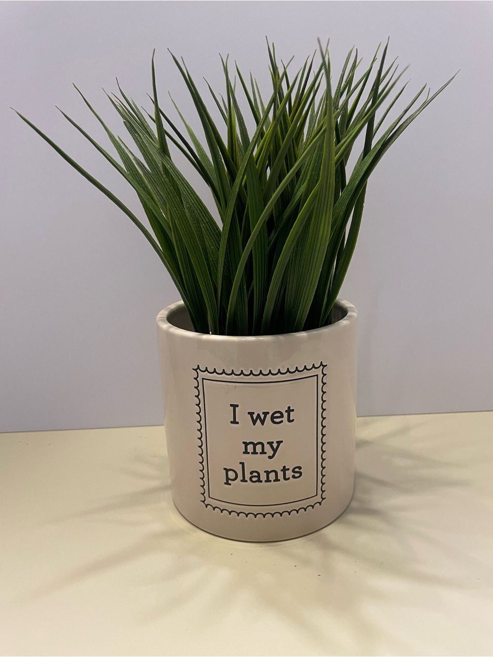 Ceramic Planter - "I wet my plants" Plant not included. Punny. Funny.